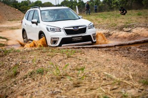 「SUBARU雨季安心行」健檢活動開跑，台灣意美獻上四大優惠！