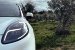 未來汽車的零件可以由橄欖製成!Ford啟動專門的COMPOlive專案