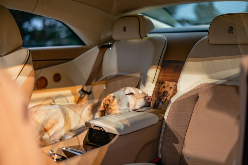 Rolls-Royce推出Spectre Bailey向心愛的狗狗致敬