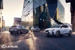 LEXUS豪華都會跨界休旅UX 300h質感升級！演繹精彩新樣貌