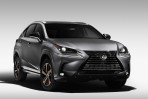 土豪金加持，Lexus NX 300 Black Line特仕版北美限量發售