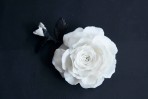 有一種玫瑰品種來自Rolls-Royce,叫做Phantom Rose