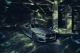 極致專屬的獨特紳士坐駕  全新BMW M850i First Edition全球限量400台、3/21發表！